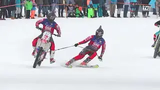 Skijöring in Gosau
