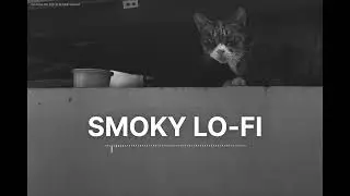 𝒮𝓂𝑜𝓀𝓎 𝓁𝑜-𝒻𝒾 | Slow, soft lo-fi
