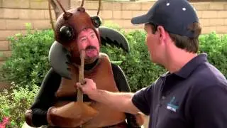 Pacific Coast Termite TV Commercial #6