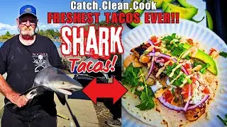 Из акулы-быка в тако: самый смелый улов, приготовленный &laquo;чистым поваром&raquo;!