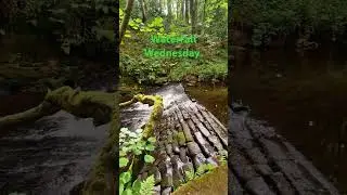 Waterfall Wednesday rivelin valley #waterfallwednesday #waterfall