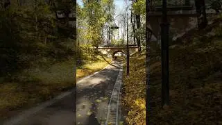 Золотая осень в Подмосковье! #travel #осень #природа #жёлтые листья #путешествия