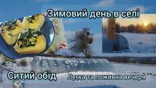 Зимовий день у селі#Морози на Черкащині #Ситий обід #Поживна вечеря#ЖиттяВПО#2026