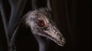 Natural History Museum Alive [2014] - Archaeopteryx Screen Time