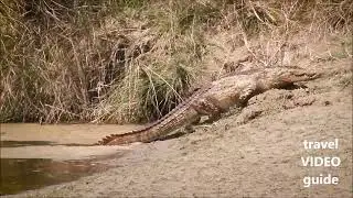 Bardiya National Park - Vacation Travel Video Guide