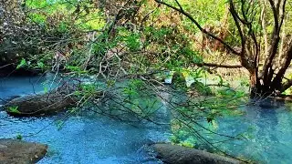 Ambient Waterfall Sounds | ASMR Live for Relaxation & Focus