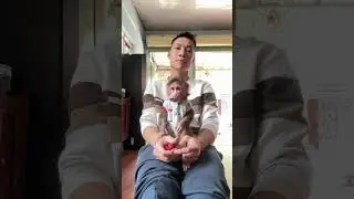 Cute Nana monkey #babymonkey #cute #cutemonkey #monkey #nanamonkey