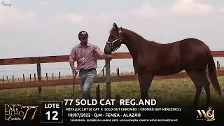 LOTE 12 77 SOLD CAT