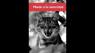 Miedo a la autoridad