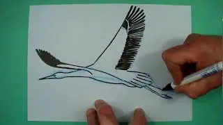 Wie zeichnet man einen fliegenden Storch? Zeichnen nicht nur für Kinder.