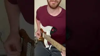 Charvel So-cal Clean Tone #guitar #jamsession #improvisation #guitarsolo #jazz