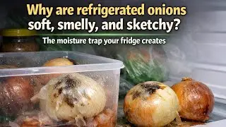 Trying to &ldquo;keep onions fresh&rdquo; in the fridge? How humidity invites mold, weak flavor, and food waste