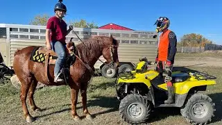 WHO WILL WIN  ATV VS HORSE  HORSEPOWER VS HORSEPOWER