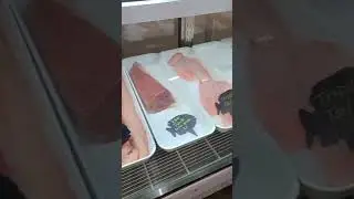 BJ's seafood store in Florida