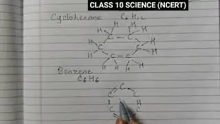 Class 10 CBSE Science Cyclohexane and Benzene #science #ncert #cbseboard