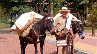 Silva y Villalba   Estirpe de arriero   Colección Lujomar
