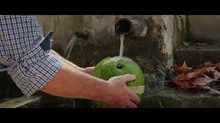Olea Olive Fiber Biodegradable Urn
