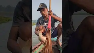 Traditional Boat Fishing in Village River |#shorts #fishingvideo #fish #fishinglife #villagelife #yt