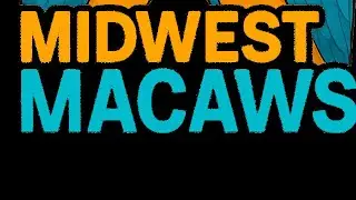 🔴 LIVE: Macaw Q&A with Midwest Macaws – What to Know Before Owning One!