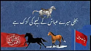 Muharram Noha New Status Video | #کربلا #yahussain #mola #matamhussain #ali