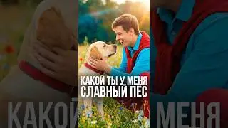 Всё стало на свои места 🐶🙂 #юмор #скетч #мем #ии Шутка. Вымысел. Совпадения случайны.