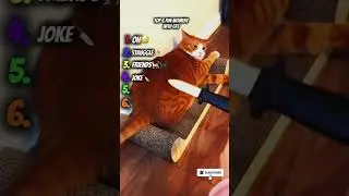 #pets #usa #cats #america #animals #edit #shorts #comedy #fyp #catlover #funnycats #like #news