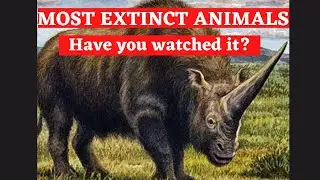 PLEASE SAVE THE WILD!! Rarest Animals in the World  #EXTINCT #SHORT #2021