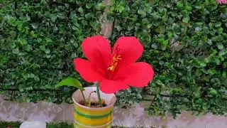 Hibiscus flower making # Lp Art and Craft #papercraft #flowers
