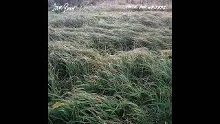 Steve Gunn - Music for Writers - 08 Snow / Water