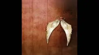 Don't Have All The Words