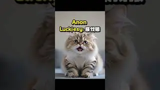 VIRAL CAT AUDIO 🎶 | ADORABLE! 😻 This Cat&rsquo;s Reaction Will Make Your Day #catlovers #catlife
