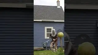 another battle against watermelon
