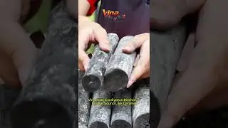 The Unique Sound of Vinachaki's Eucalyptus Binchotan 🔊 #binchotan #eucalyptus #bbqcharcoal #wood