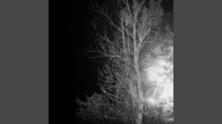 Midnight Envelopes (Passed Quietly)