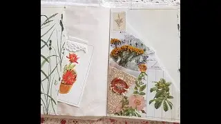 The naturalist journal flip through