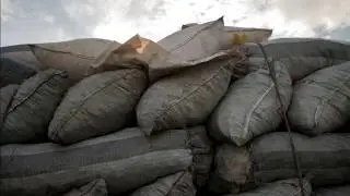 Deforestation in Ghana.wmv