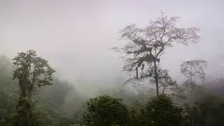 Hidden Gems of Ecuador