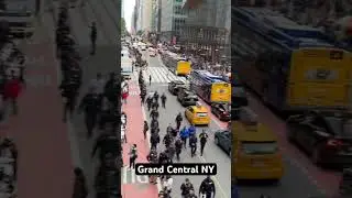 🇵🇸 Grand Central Pro Palestinian Protest