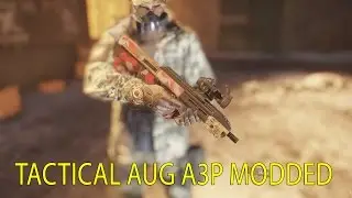 The Division Weapons - Tactical AUG A3P Modded Showcase