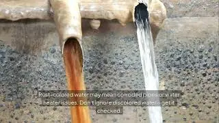 How to Tell If You Need Professional Plumbing Repair in Dallas, TX?
