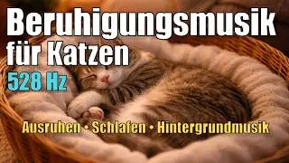 528 Hz  –  Beruhigungsmusik Katze