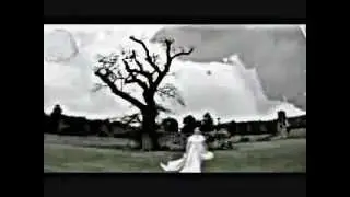 Skillet - Comatose