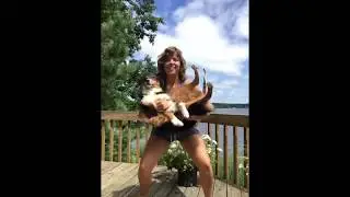 Super Cute Dog Squat Video!