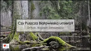 Dr hab. Bogdan Jaroszewicz - Czy Puszcza Białowieska umiera?