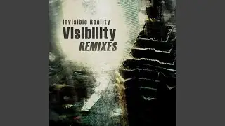 Visibility 2010 Remake