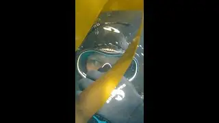 Wild Kelp Forest Dive