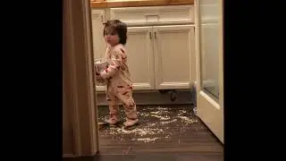 Who needs an Elf when you have a Hali at 4am??
