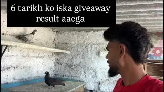 6tarikh ko giveaway karenge Ham yah Wale video mein like comment subscribe aur Instagrammein follow