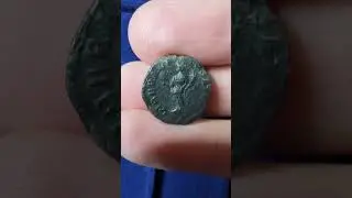 Septimius Severus. AD 193-211. AE Limes Denarius (2.97g, 17.83mm). Struck AD 209