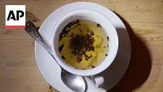 US scientist offers Britain advice on making tea, brewing up storm